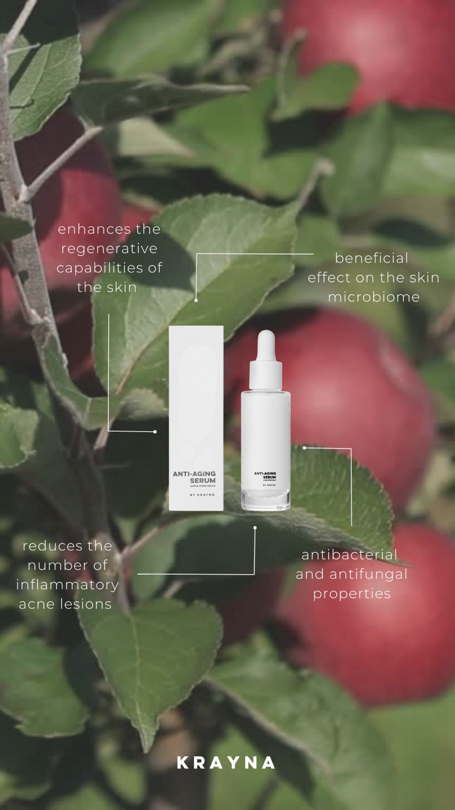 Anti-aging serum apple stem cells